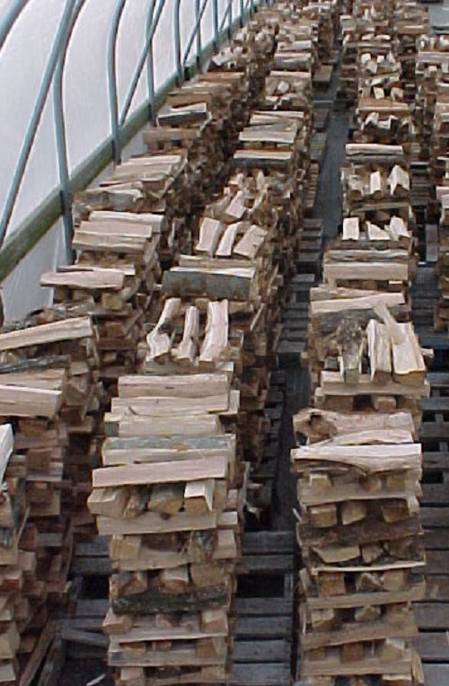 fire wood stacked in green house to dry out